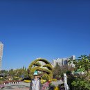 어양동-10 이미지