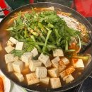 황금포장마차 | 🙌황금마차🙌 속초 포장마차거리 알고니탕 맛집 내돈내산+솔직후기!