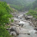 어물농장 이미지