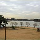 미사리 - 서구 | 미사리