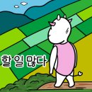 도배를미