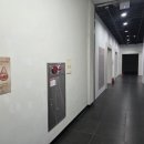 그린투브라운