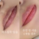 광장로24번길 | [인천눈썹] 부평 반영구 비비브로우 아이라인 헤어라인 입술 문신 대칭 디자인 컨설팅 후기