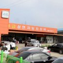 성연자동차공업사 | 1234yf 신냉매 장비 - 충남 지역 정기순회점검 다녀왔습니다^^