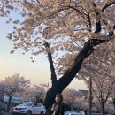 수성미용실