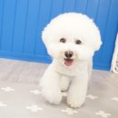 무무유치원 이미지