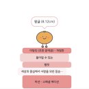 양혜정이 3월에 읽은 책 다섯 권에 대하여