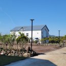 스테이 다연 | 제주 신상 숙소 스테이다연 부모님이 만족한 내돈내산 후기