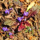 금창초등학교 이미지