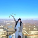 용산리2 농로 9 | 평창 가볼 만한 곳 🤍 평창 발왕산 케이블카 발왕산 스카이워크 내 돈 내산 후기 발왕산 천년주목숲길 🩵