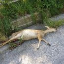 용소폭포1 이미지