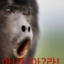 홍*아