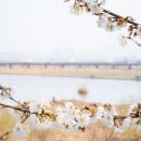 송천대여소 이미지