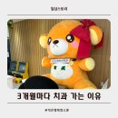 동남지구 하임꾸러기치과 정기검진 후기｜6세 영구치가 벌써 나온다고?