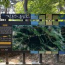 서산등산로3코스 이미지