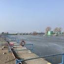 만정 캠핑장 | 영종도 만정캠핑장 반려견 동반(무게제한없음) 동계 평일 솔캠 후기