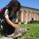 은빛물고기 이미지