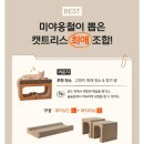 닥터캣 고양이병원 | 미야옹철 닥터펠리스 캣트리스 매직터널 내돈내산 후기!