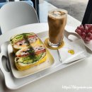 페티앙 애견미용 이미지