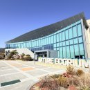 나비유치원 | 신비하나름유치원 - 오늘은 나 혼자 잔다 !! 밤유치원 후기★♥