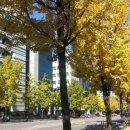 차만술행정사사무소 이미지