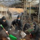 기세축산 이미지