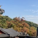 복가밥상 이미지