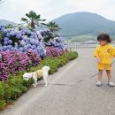 거제생선구이 이미지