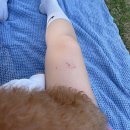 NR-3[경충대로]-하-209 | 일상기록.16