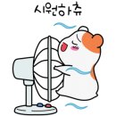 보라매동-6 이미지
