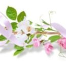 라 루나(La Lu 이미지