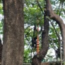 달성공원 동물병원 이미지