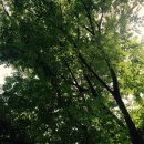 중바위캠핑장 이미지