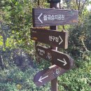 경기둘레길 파주7코스 이미지