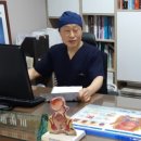 하나항맥외과의원 이미지