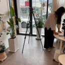 리틀퍼피 이미지