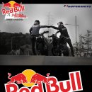 RedBull 2009 summer wind stoper /서울/45000 이미지