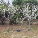 흥해시장 이미지