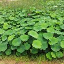 신창이용원 이미지