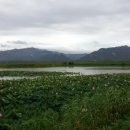 영암군 달빛축제 이미지