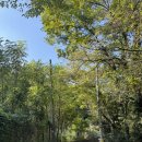 민오름 | 제주 민오름 유아숲터 방문 후기｜주말 아이와 자연 속에서 놀기 좋은 밧줄놀이터