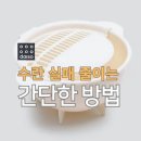 토스트1000원 김밥1000원 | 1000원짜리 다이소 주방템, 아침 식사 퀄리티 완전히 바뀐 이유