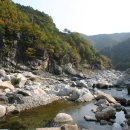 불영사식당 이미지