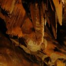 단양한우 목장 이미지