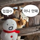 따자PC | 노베이스 한능검 취득 후기, 공부 방법/어플 추천 (feat. 40점에서 81점까지)