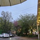 메아리식당 | 부산 메아리산장 / 내돈내산 솔직후기