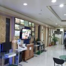 참조은 스크린골프 이미지