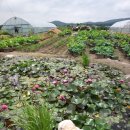 찬우물약수터 이미지