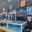 싱글벙글식당 티스토리