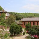 수원-0100 Daum카페